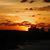 Lesley Smith Washington's profile image