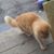 Maggie Ammons's profile image