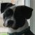 Laurie Mandeville Beaudette's profile image