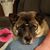 Lucyanne Lepore's profile image