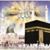 Othman Habib's profile image