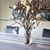 Vanessa Olivo Montes's profile image