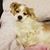 April Bigham Mills's profile image