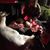 Carol Haskett's profile image