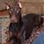 Rene Moneyhan Hunt's profile image