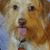 Patty Allum's profile image