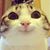MerriAnn McLain's profile image