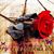 Sharon Kay Furlong's profile image