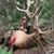 Carson Engelskirger's profile image