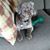Tracy Campbell's profile image