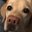 Becky Henderson's profile image