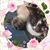 Ann M Masso's profile image
