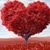 Laura Arevalo Garcia's profile image
