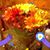 Vincent Easter's profile image
