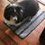 Janice Latta's profile image