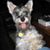 Janice Dalton's profile image