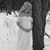 Mikayla Cook's profile image