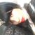 Rubi Rodriguez's profile image