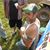 Dennis Polinsky's profile image