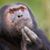 Joseph Barbaccia's profile image