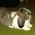 Linda Casey's profile image