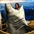 Libby Wilson Ellis's profile image