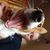 Taylor J Dabney's profile image