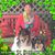 Gerri DeBartolo Aichinger's profile image
