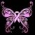 Kelle Diane Miller's profile image