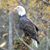Jason T Tompkins Sr.'s profile image