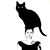 Liz Mayorga's profile image