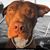 Nicole McAtee's profile image