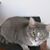 Katherine Miller's profile image