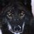 John Skach's profile image