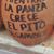 Mex Michoacan's profile image
