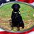 Tim Goins's profile image