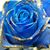 Anna Songyanan's profile image