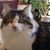 Kitty Jakovac's profile image