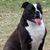 Bree Hudson's profile image