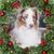 Charles Geldernick's profile image