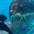 Pamela Hague Ferebee's profile image