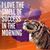 Darrell Moore's profile image