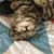 Dina Kuschel's profile image