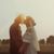 Cyndi Frank Harris's profile image