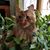 Pat Chadwick-Robbins's profile image