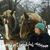 Colleen Campbell's profile image