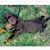 Jo Ann Acevedo's profile image