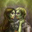 Mel Carver's profile image