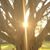 Jesse Stein's profile image