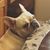 Carren Senn Walker's profile image